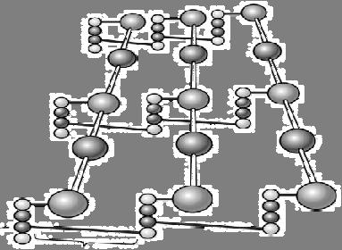 μικροβίων The Bacterial Cell Wall G M G Gram Positive