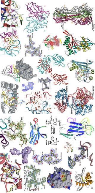 ΑΝΤΙΓΟΝΑ Antigens Ags Aπτίνες