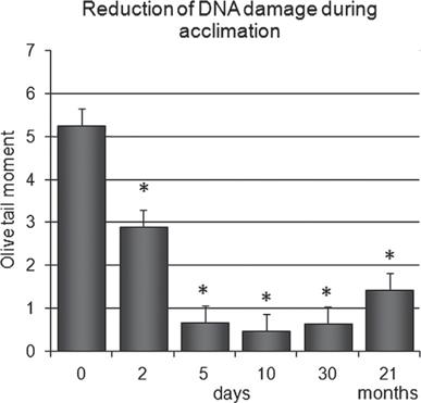 S. Kolarević et al. / Chemosphere 93 (2013) 243 251 247 4. Discussion Fig. 2. Nuclear DNA damage in haemocytes of S.