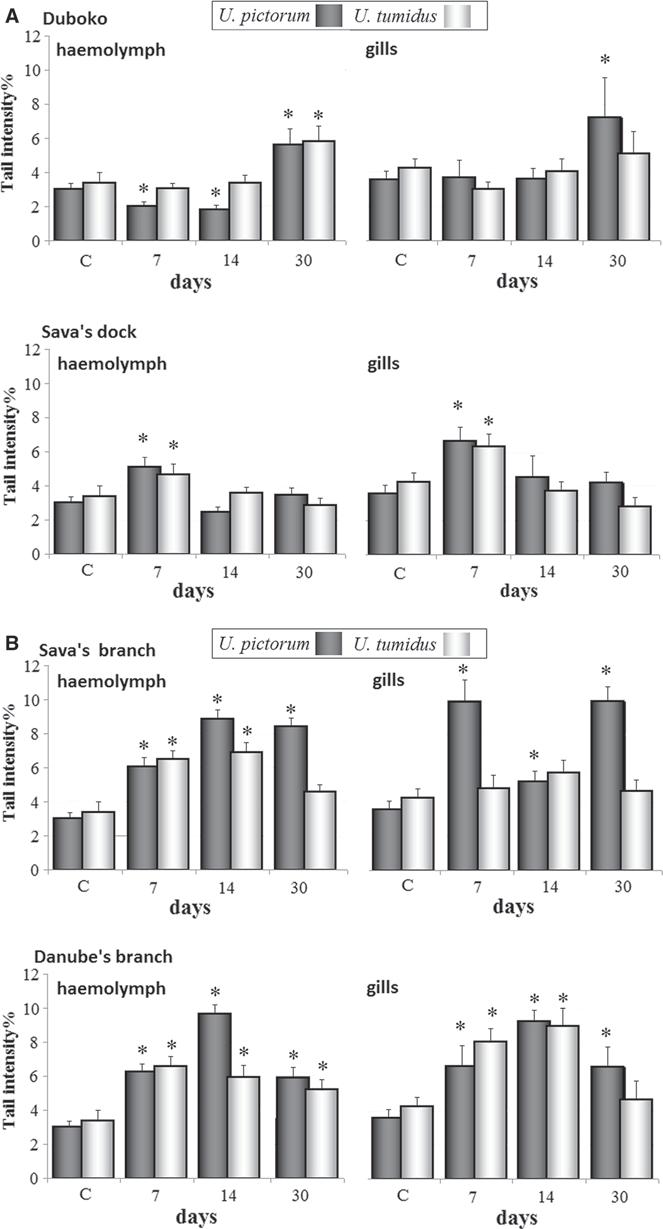 Hydrobiologia (2014) 735:221 231 227 Fig. 2 DNA damage in hemocytes and gill cells of freshwater mussels U. pictorum and U.