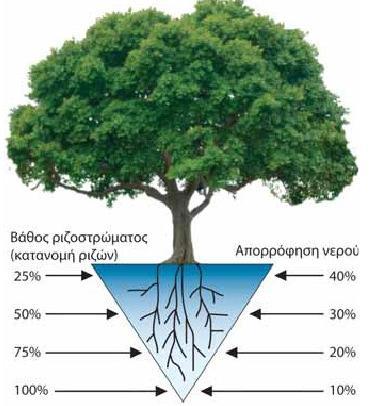 με τη σύσταση του εδάφους Διάγραμμα 2.