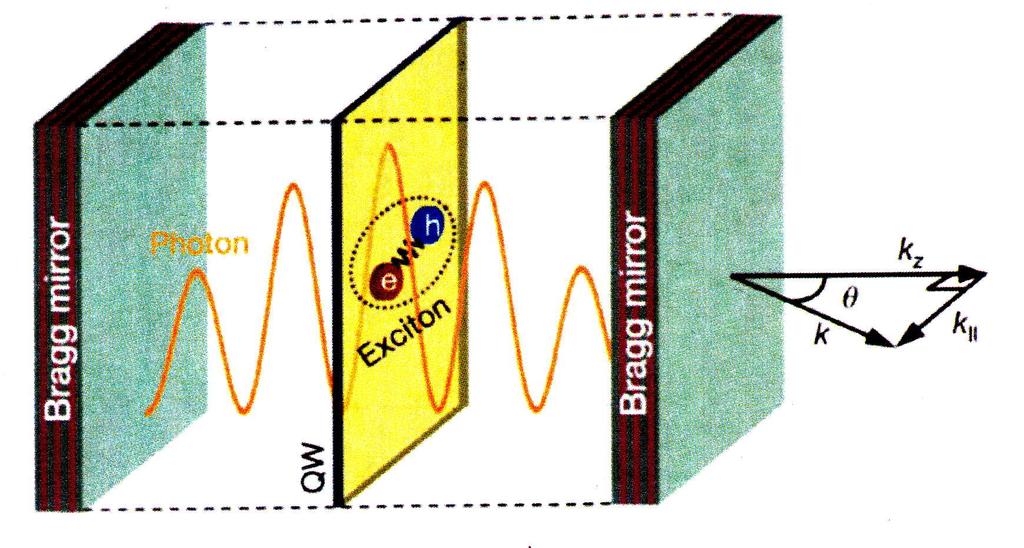 Experimental Motivation Pmped semicondctor antm wells in optical cavities: driven Bose Einstein condensation of exciton-polaritons J. Kasprza et al., Natre 443, 409 (006); K.G. Lagodais et al.