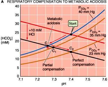 Metabolna acidoza ledvična tubulna acidoza diareja bruhanje