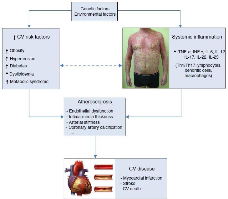 Σχέση μεταξύ ψωρίασης, παραγόντων κινδύνου για καρδιαγγειακά, αθηροσκλήρωσης