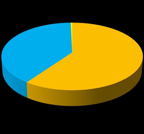 Διδική Άδεια 59,9% Ιδιωηικοί Πάποσοι με Γενική Άδεια Ιδιωηικοί Πάποσοι με Διδική Άδεια Σσνολικό
