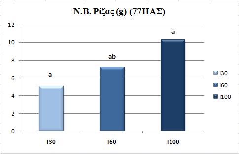 Διάγραμμα 4.4.4.4 Επίδραση των επεμβάσεων άρδευσης (30%, 60% και 100%) στο νωπό βάρος ρίζας φυτού για τις δύο ποικιλίες (Fuutura 75 και Santhica 27) την 77 η ημέρα από τη σπορά.