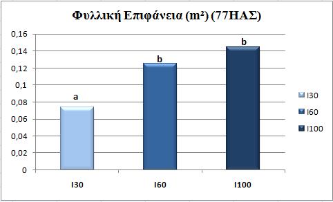 Διάγραμμα 4.3.4 Επίδραση των επεμβάσεων άρδευσης (30%, 60% και 100%) στη φυλλική επιφάνεια φυτού για τις δύο ποικιλίες (Fuutura 75 και Santhica 27) την 77 η ημέρα από τη σπορά.