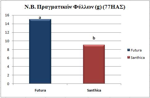 Διάγραμμα 4.4.1.5 Νωπό βάρος πραγματικών φύλλων φυτού για τις δύο ποικιλίες (Futura 75 και Santhica 27) την 77η ημέρα από τη σπορά.