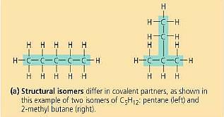 Strukturni izomeri su vrsta izomera kod kojih
