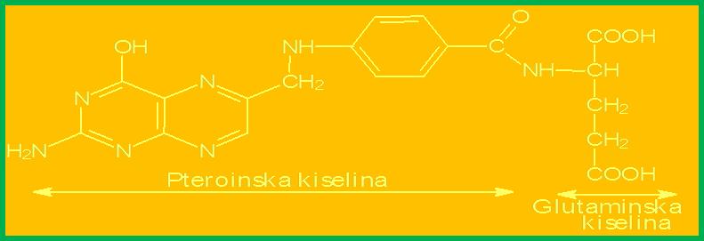 Folna kiselina vitamin B9 i tetrahidrofolna kiselina - F4 Folna kiselina (B9) - pteroilglutaminska kiselina, po hemijskom sastavu derivat pteridin-p-aminobenzoeve i glutaminske kiseline.