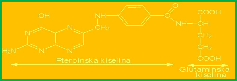 Folna kiselina vitamin B9 i tetrahidrofolna kiselina - F4 Folna kiselina (B9) - pteroilglutaminska kiselina, po hemijskom sastavu derivat pteridin-p-aminobenzoeve i glutaminske kiseline.