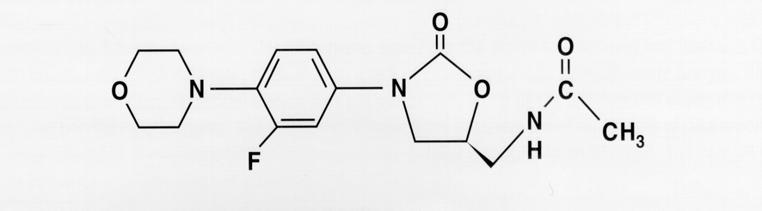 pneumoniae) Πιο σπάνια Gram(+) (Listeria, Corynebacterium, Rhodococcus κ.α.) Mερικά αναερόβια (πχ Β.