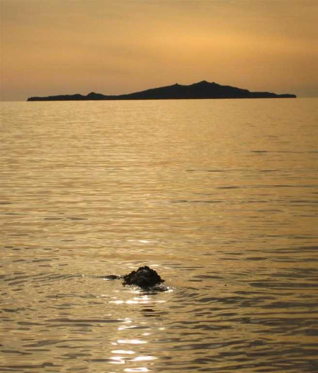 Εικόνα 20: Από την νησίδα Παχιά 10.5.Παχειά Η Παχειά είναι νησίδα των Δωδεκανήσων.