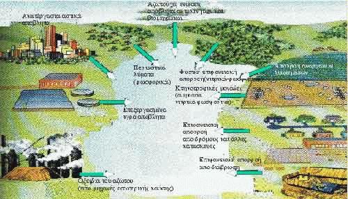 Στα δευτερεύοντα συστατικά των νερών συγκαταλέγονται ενώσεις με συγκεντρώσεις μικρότερες από 1mg/l (φωσφορικά, νιτρικά, πυριτικά ιόντα).