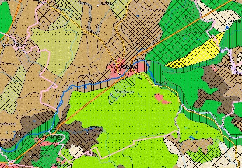 subnatūralių, antropogeninių bei renatūralizuotų ekosistemų vertikalia ir horizontalia teritorine organizacija.