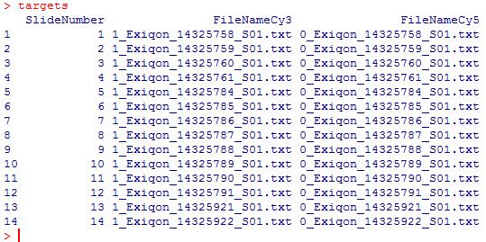 Εικόνα 4.6: Targets data frame έξοδος Targets.