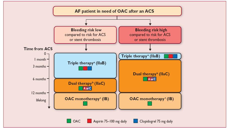 2016 ESC Guidelines for the management of atrial
