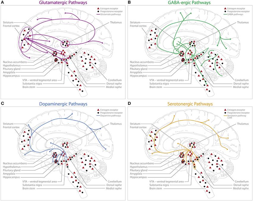 Barth et al,