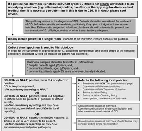 Algorithm of management of a patient with unexplained diarrhoea :