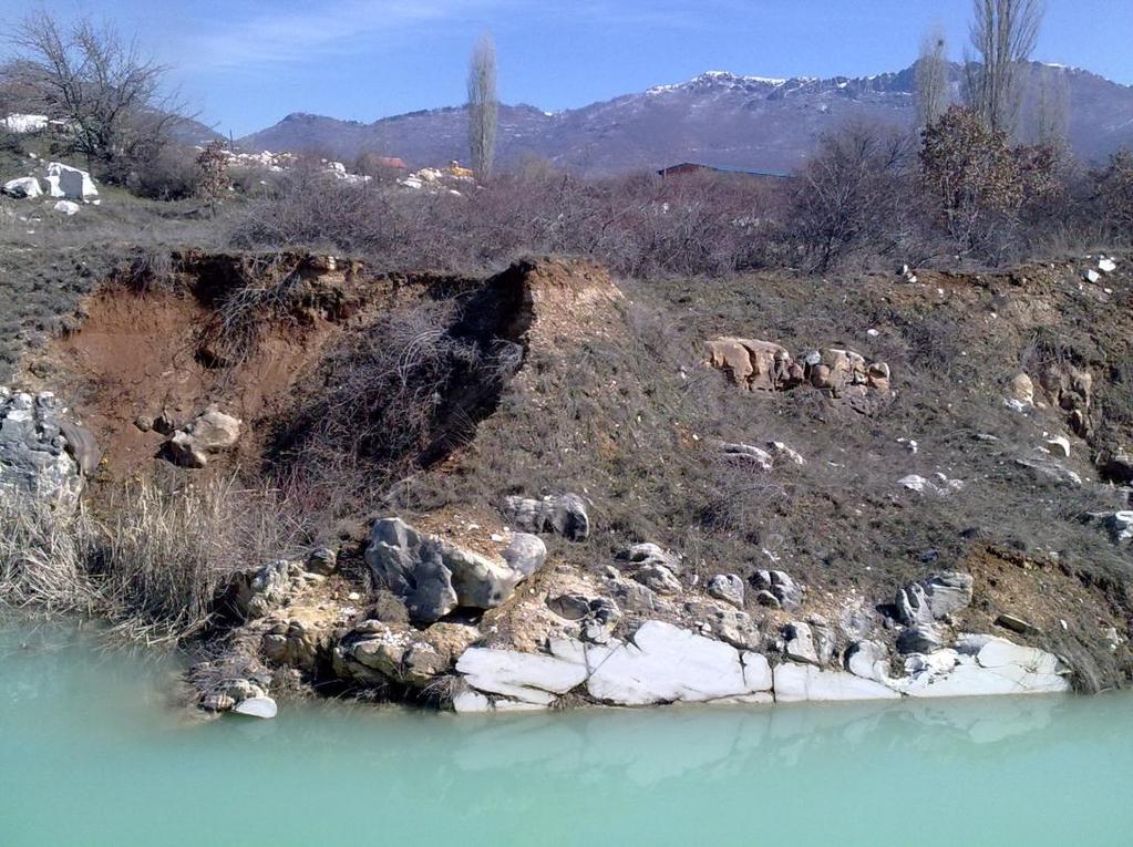 -Humusna pokrivka Humusniot materijal prete`no e pretstaven so: humus (sl.