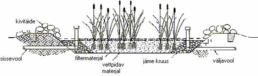 Loeng 8 6 Taimestik-pinnasfiltrid (SSF) on tavaliselt alla 0.6 m sügavused vannid, mis on täidetud filtermaterjaliga, mis on kasvusubstraadiks juurtega veetaimedele.