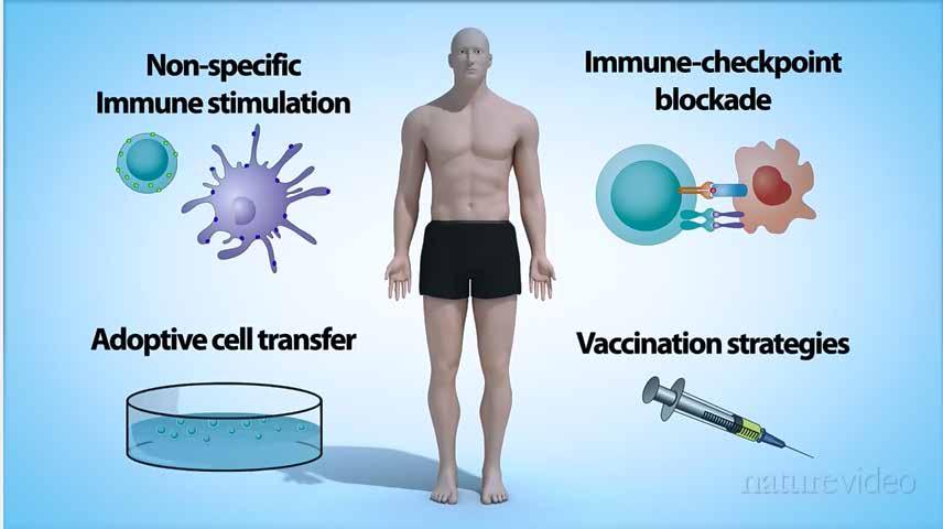 American Society of Clinical Oncology (ASCO) The