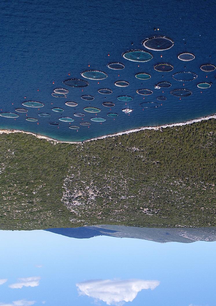 ΠΡΩΤΕΥΣ GRI 102-2 GRI 102-6 GRI 102-7 Η ΠΡΩΤΕYΣ ιδρύθηκε το 1996 και είναι 100% θυγατρική του Ομίλου ΝΗΡΕΥΣ, με μακροχρόνια εμπειρία και εξειδίκευση στην παραγωγή τεχνολογικού εξοπλισμού και στην
