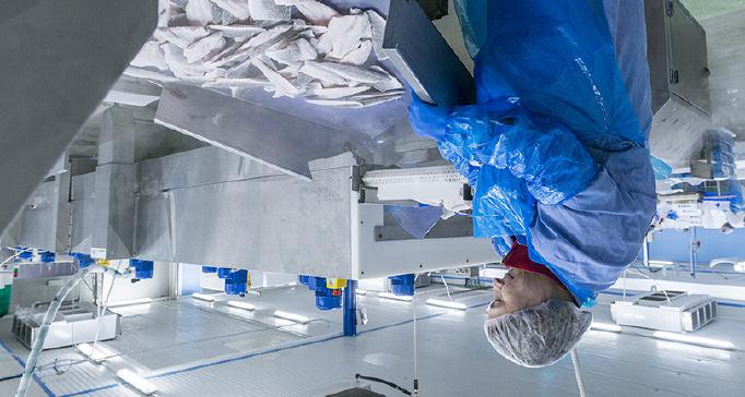 Απασχόληση Αρχές 1, 2, 3, 4, 5, 6 Τύπος GRI 102-8 GRI 102-41 Ο 'Όμιλος εταιρειών ΝΗΡΕΥΣ ΑΕ προάγει τη διαρκή, βιώσιμη και χωρίς αποκλεισμούς οικονομική ανάπτυξη καθώς και την αξιοπρεπή εργασία για