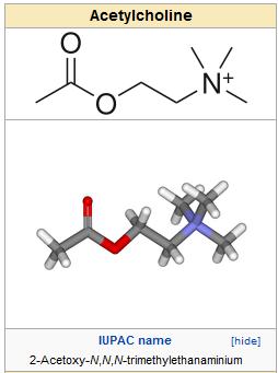 neurotransmitor