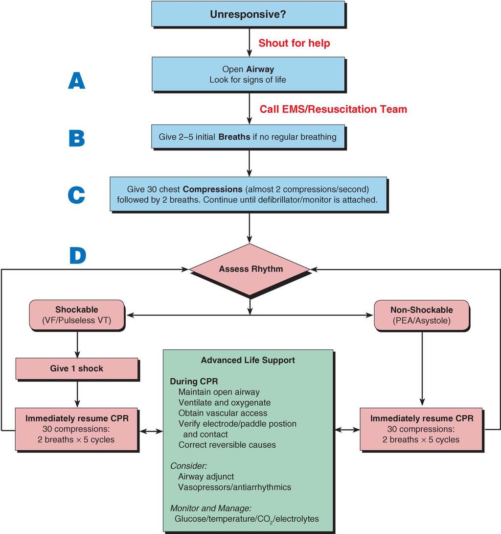 European Resuscitation Council Guidelines for