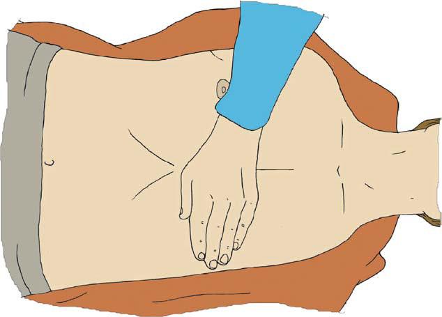 European Resuscitation Council Guidelines