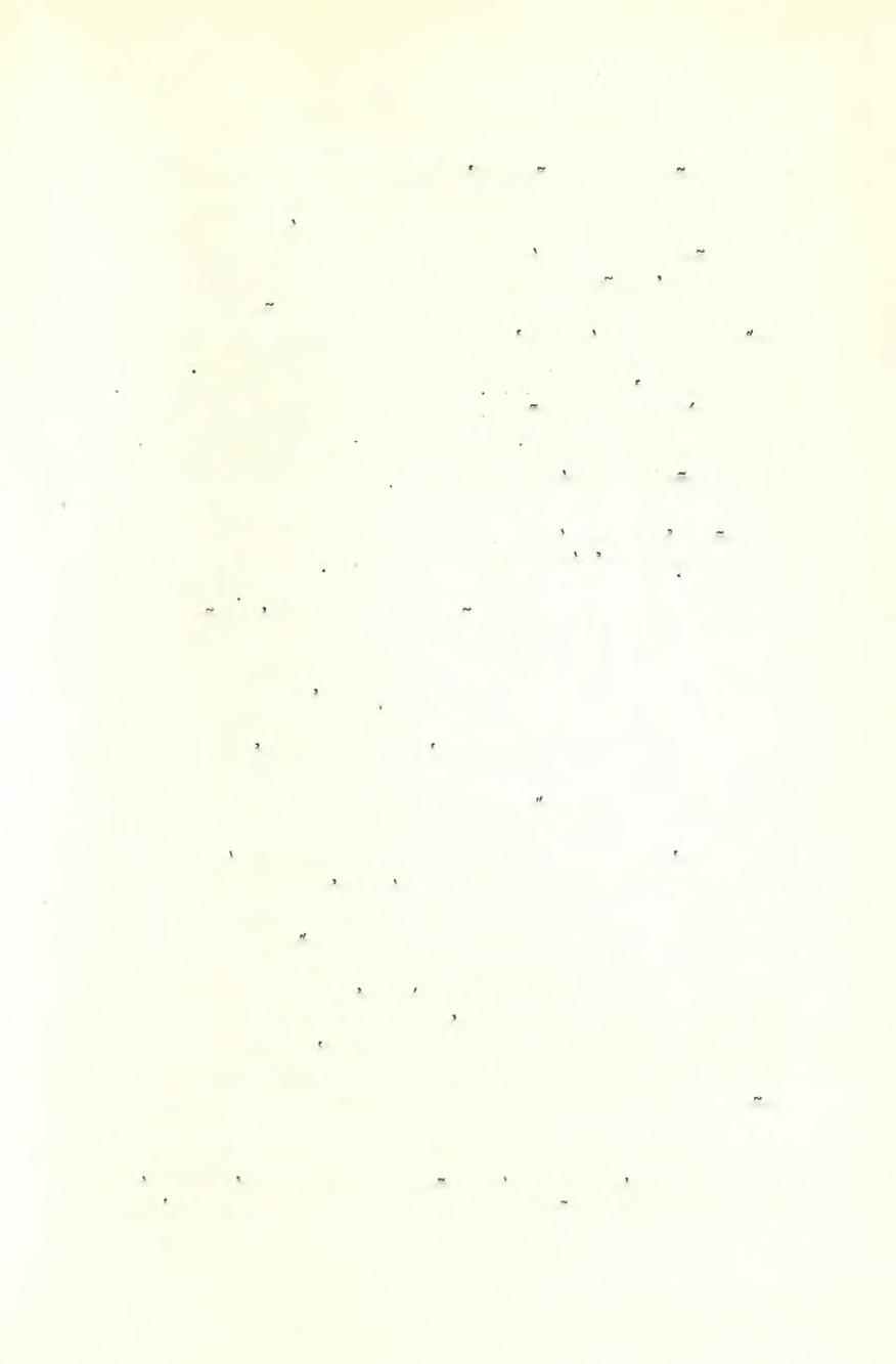 'Αναστασίου Κ. Όρλάνδσυ : Άνασκαφή Μεσσήνης 213 Άλλο συνεργείου ήσχολήθη μέ τήν ολοσχερή άποκάλυψιν της έν σχήμα- τι γάμμα μικράς κλίμακος (ΠΑΕ 1959, σ. 167, είκ.