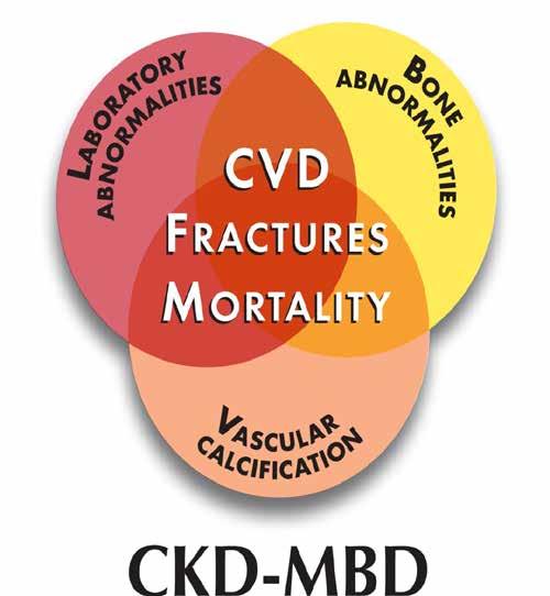 Chronic kidney disease mineral bone disorder (CKD MBD) A systemic disorder of bone and mineral metabolism due to CKD manifested by either one or a combination of the following: Abnormalities of