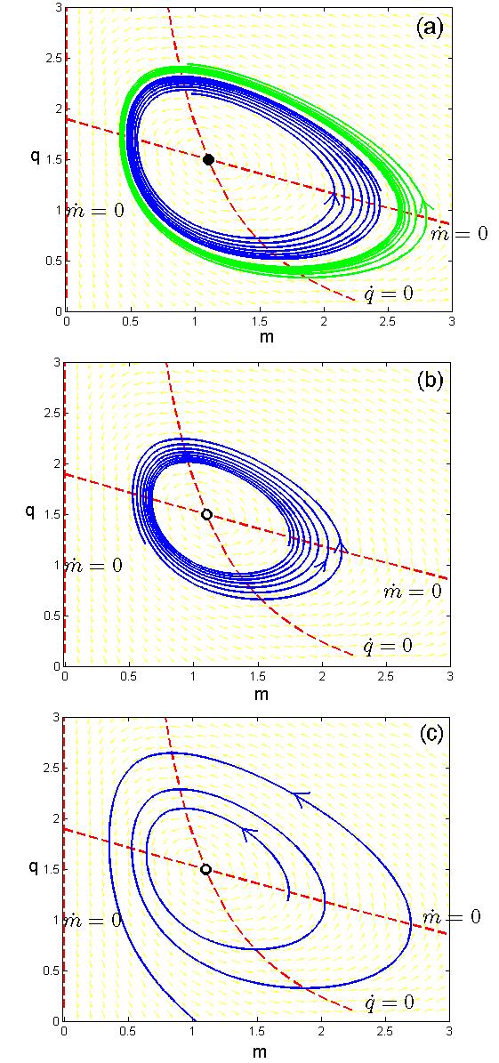 Obrázok 5.5: Subkritiký prípad AndronovejHopfovej bifurkáie. Pre vo bu parametrov k = 1, θ = 1.5, α = 0.4, β = 0.6, ε = 0.4, L 0 = 1.67, q D = 0.5. Pre ²peikú vo bu parametra γ dostávame: (a) nestabilná periodiká orbita pre γ = 3 < γ.