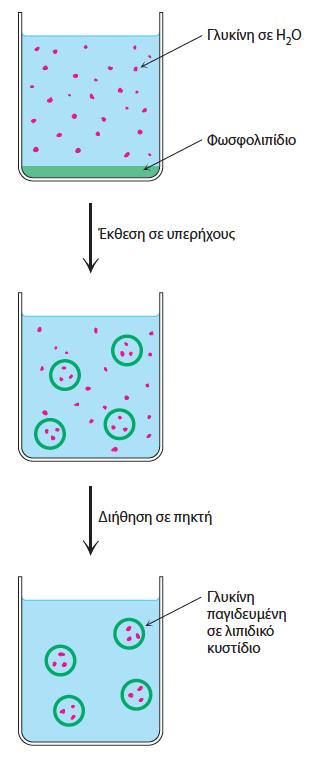 Λιπιδικά κυστίδια είναι δυνατό να