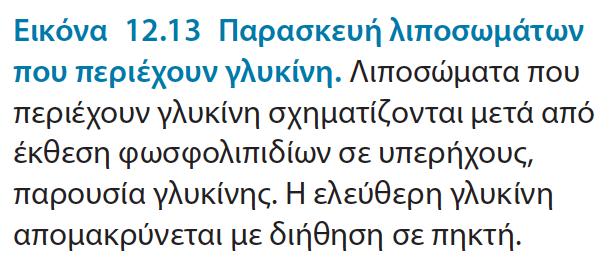 κυστίδια ή λιποσώματα είναι υδάτινα