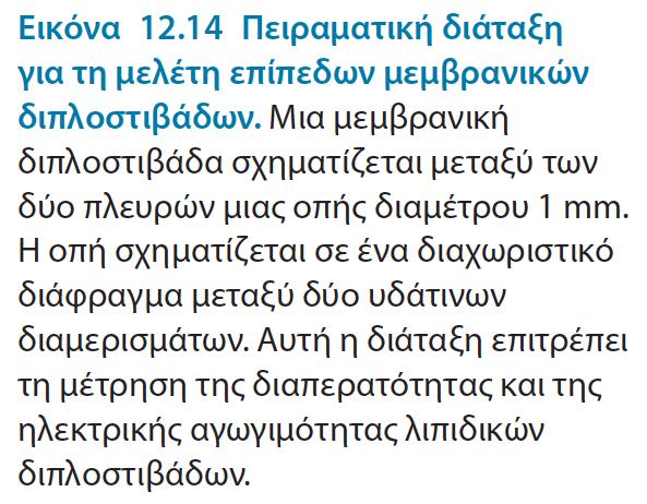 σύνορο με το εξωτερικό περιβάλλον.