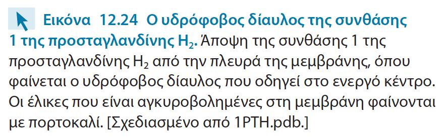 Η ασπιρίνη αναστέλλει την πορεία μέσω σύνδεση της με την σερίνη 530 Τα τμήματα των πρωτεϊνών που αλληλεπιδρούν με υδρόφοβα μεμβρανικά μέρη αποτελούνται από μη