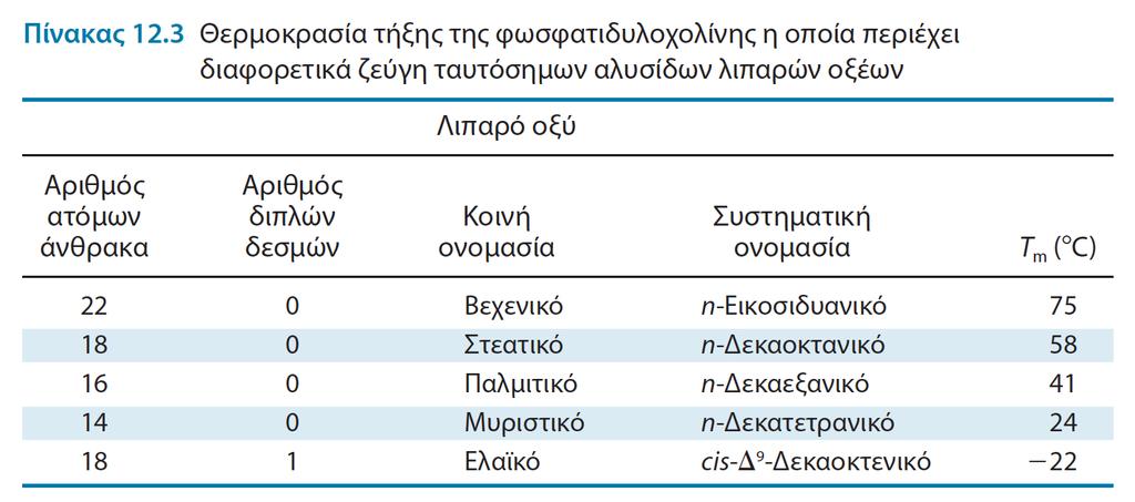 Οι αλυσίδες των λιπαρών οξέων μέσα στη μεμβράνη είτε βρίσκονται σε συμπαγή δομή ή σε μία σχετικά ρευστή κατάσταση.