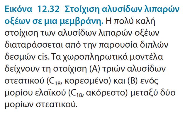 Διπλός δεσμός προκαλεί κάμψη στην υδρογονανθρακική αλυσίδα και παρεμποδίζει την καλά