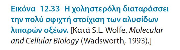 Στους ζωικούς οργανισμούς η χοληστερόλη είναι ο καθοριστικός ρυθμιστής της