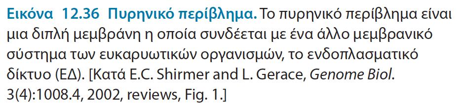 Τα ευκαρυωτικά κύτταρα διακρίνονται από την ύπαρξη μεμβρανών στο εσωτερικό τους κυττάρου οι οποίες σχηματίζουν εσωτερικά διαμερίσματα (Υπεροξειδιοσώματα, μιτοχόνδρια, πυρήνας).