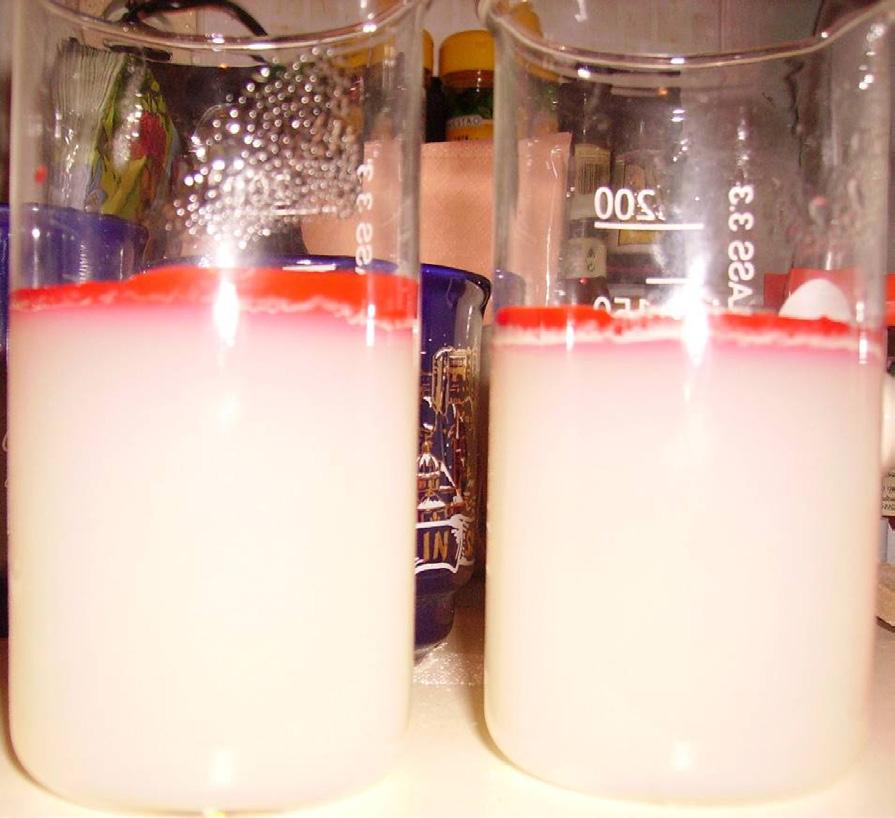 IZVEDBA: Po navodilu proizvajalca (navadno 2 3 g agarja na 100 ml vode) v 1000 ml čaši skuhaš 400 ml gela iz agarja in vode.