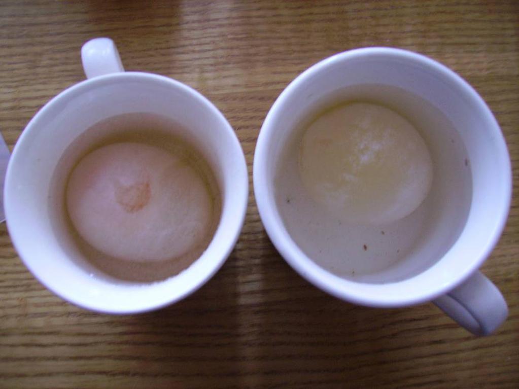 Ugotovitve: Ali je sprememba mase odvisna od vrste tekočine, v katero je bilo jajce potopljeno ali je membrana v jajcu semipermeabilna?