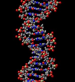 Pri tej vaji bomo spoznali, kako deluje Sistem indeksiranja kombinirane DNK (v angl. Combined DNA Index System oz. CDIS). http://www.biology.arizona.edu/human_bio/activities/blackett2/overview.
