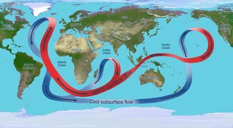 Από επιστημονικές έρευνες εκτιμάται ότι για να ολοκληρωθεί, σε παγκόσμια κλίμακα, ένας κύκλος της ωκεάνιας κυκλοφορίας χρειάζονται περίπου 1000 χρόνια Μοντέλο της Παγκόσμιας Ζώνης Μεταφοράς (The