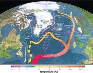 Το σύστημα του ωκεάνιου ρεύματος AMO μεταφέρει σημαντική ποσότητα θερμικής ενέργειας από τις τροπικές περιοχές και το νότιο ημισφαίριο προς τον.