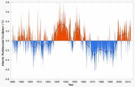 Ατλαντικής Πολυδεκαετούς Ταλάντωσης (Atlantic multidecadal oscillation, ΑΜΟ) που συνδέεται επίσης με μεταβολές στη δραστηριότητα των τυφώνων, την ένταση των βροχοπτώσεων και αλλαγές στους πληθυσμούς