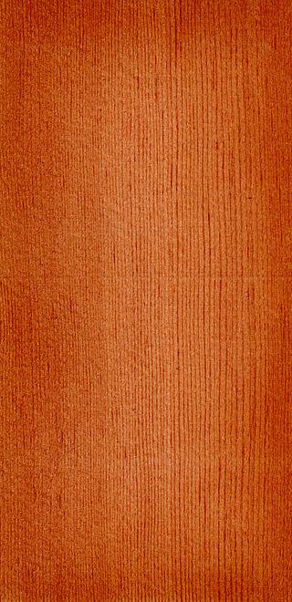 Άλλα μακροσκοπικά χαρακτηριστικά του ξύλου που διακρίνονται στην εγκάρσια τομή είναι οι ακτίνες (Εικ. 3στ, βλ. βέλη) και οι ρητινοφόροι αγωγοί (Εικ. 2Β, κάτω βέλη).