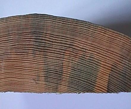 Εκτός από αυτό, οι κατασκευαστές και καταναλωτές δεν προτιμούν την κυανωμένη ξυλεία πεύκης, γιατί θεωρούν ότι το ξύλο είναι σάπιο και δεν έχει αντοχή.